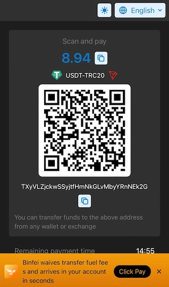 Step 3: Make a transfer using USDT.